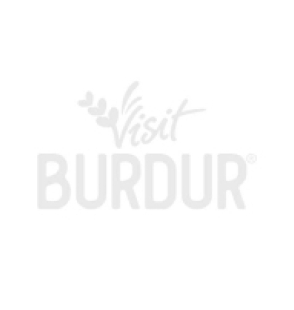 Polis Evi Şube Müdürlüğü